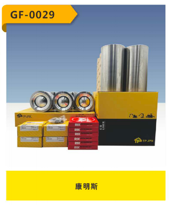 Harga bagus CUMMIN JPN GF-0028 Bagian Mesin LINER KIT SERIES on line