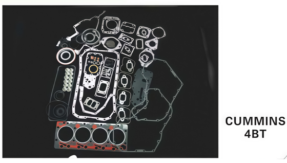 Good price EXCAVATOR ENGINE OVERHAUL KIT FOR CUMMIN S 4BT online