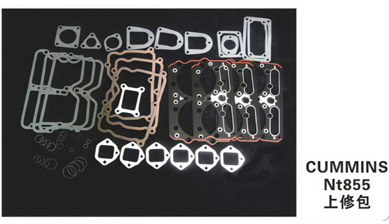 Bon prix Le moteur de l'excavatrice est équipé d'un kit de réparation pour le cumin S Nt855 En ligne
