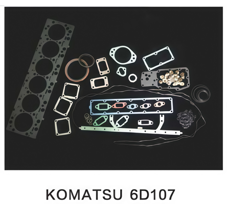 Guter Preis Motorüberholungssatz für Bagger, KOMATSU 6D107 Online